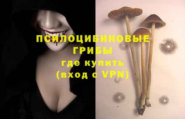 хмурый Нефтекумск