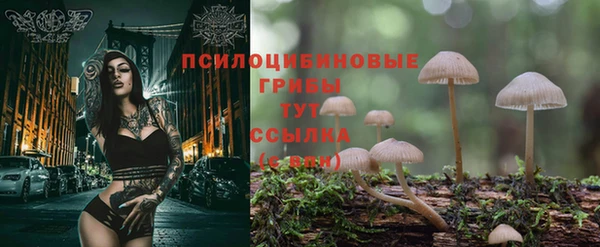MESCALINE Нея