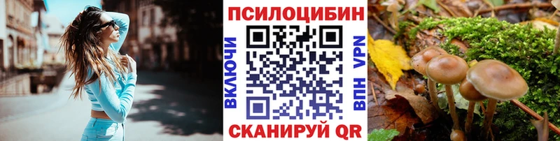 Псилоцибиновые грибы Psilocybine cubensis  Шимановск 